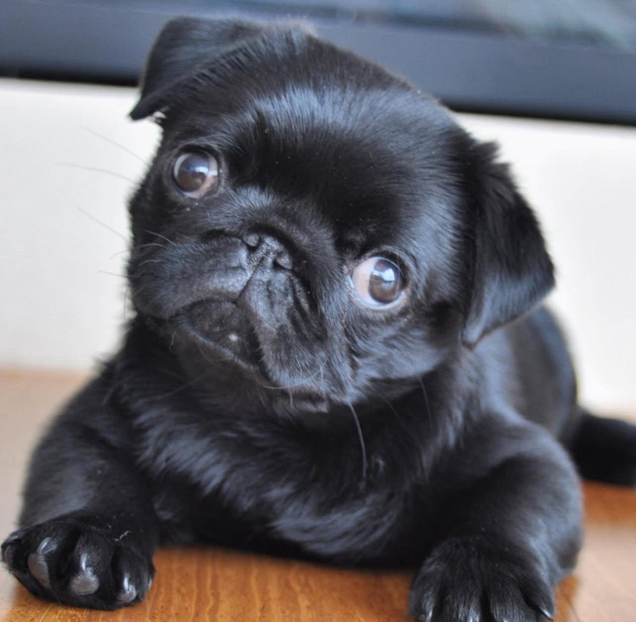 WhatsApp Image 2025-11-14 at 01.03.19_b86bbae6