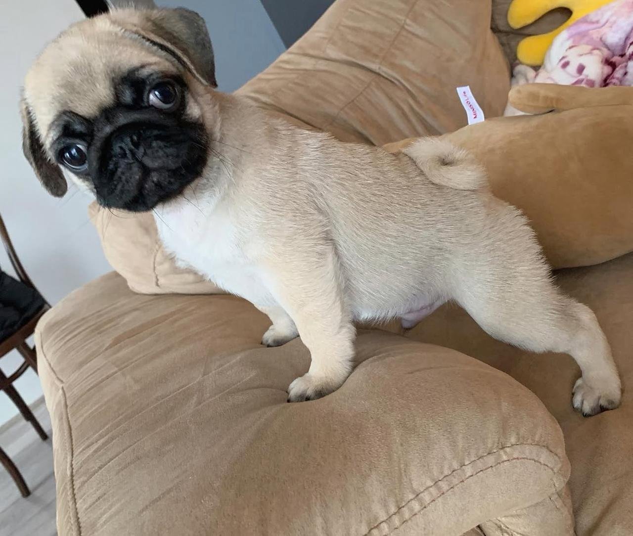 WhatsApp Image 2025-11-14 at 01.03.57_8027f2c9