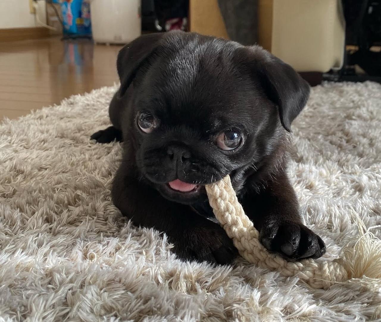 WhatsApp Image 2025-11-14 at 01.04.59_d45dbbd4