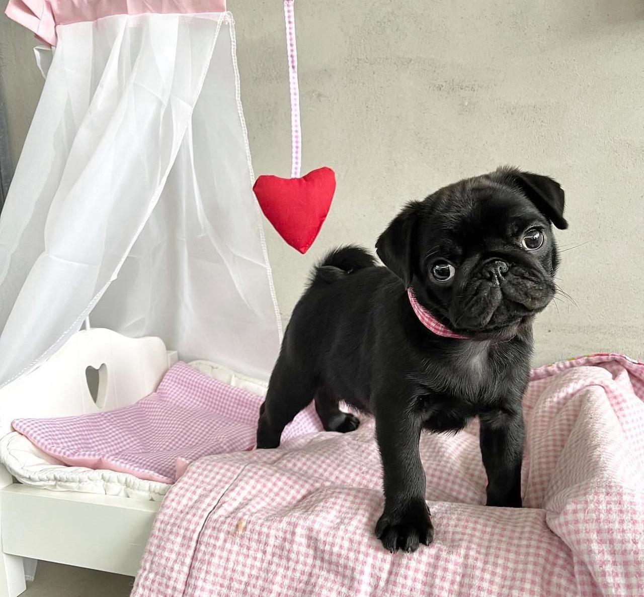 WhatsApp Image 2025-11-14 at 01.05.38_8c1f5ef7