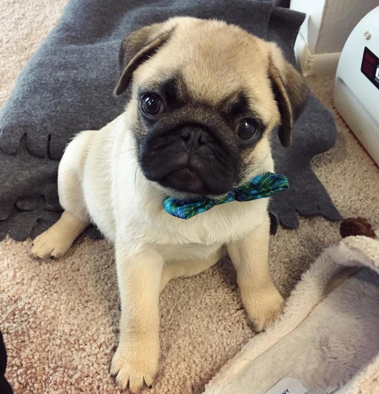 WhatsApp Image 2025-11-14 at 01.06.05_000f1304