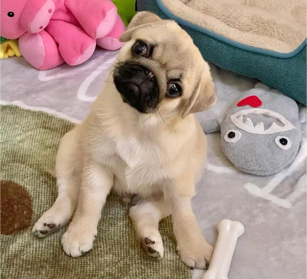 WhatsApp Image 2025-11-14 at 02.02.15_194d2cae