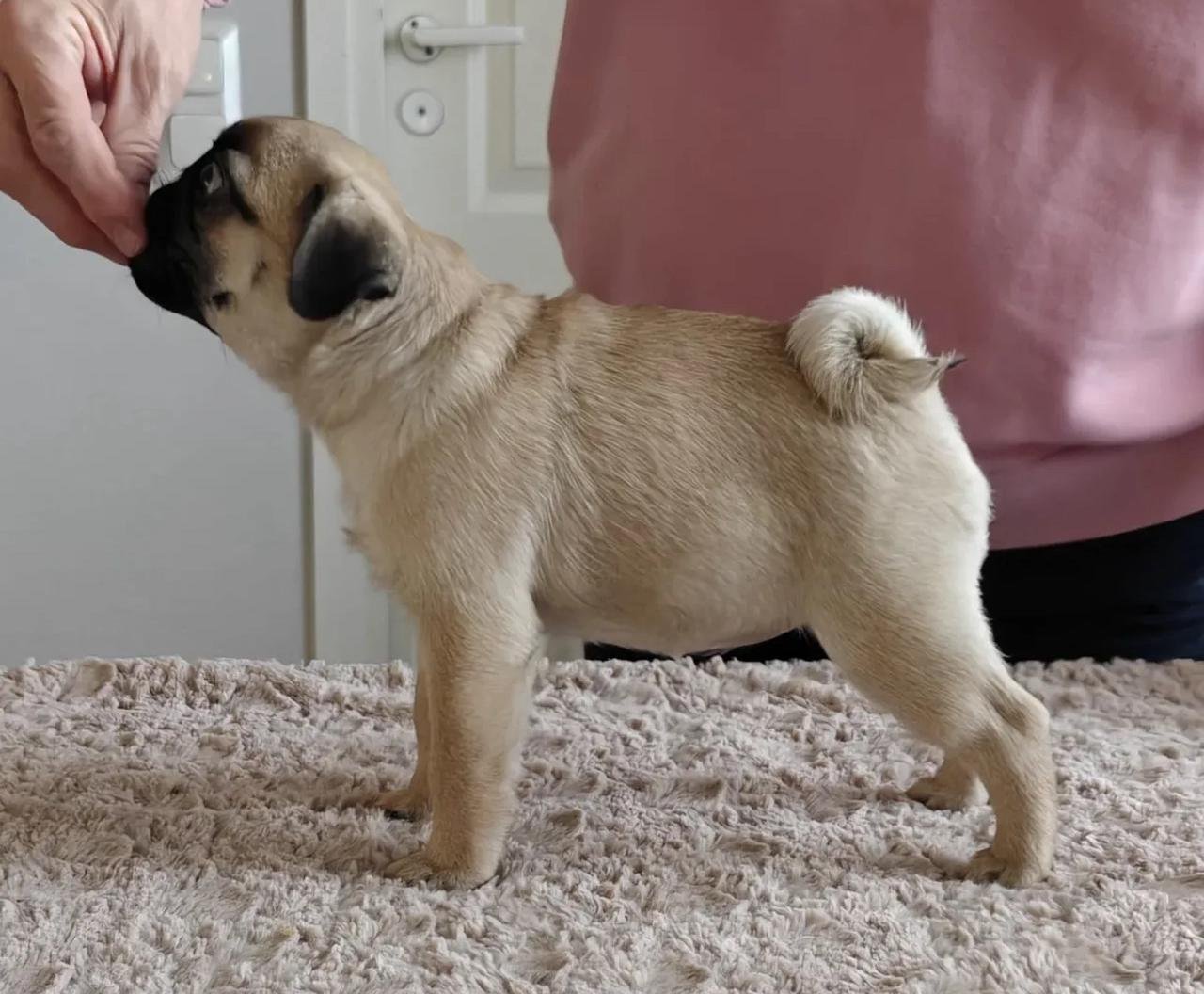 WhatsApp Image 2025-11-14 at 02.02.21_8762a035